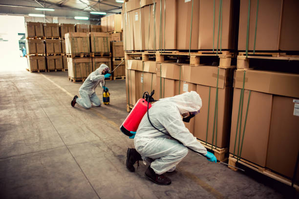 Best Pest Control Near Me in Forrest City, AR