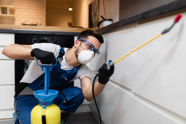 Best Wasp Removal Services  in Forrest City, AR