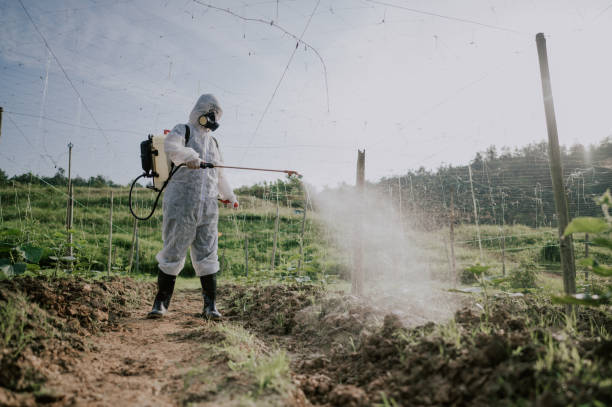 Best Commercial Pest Control Services  in Forrest City, AR