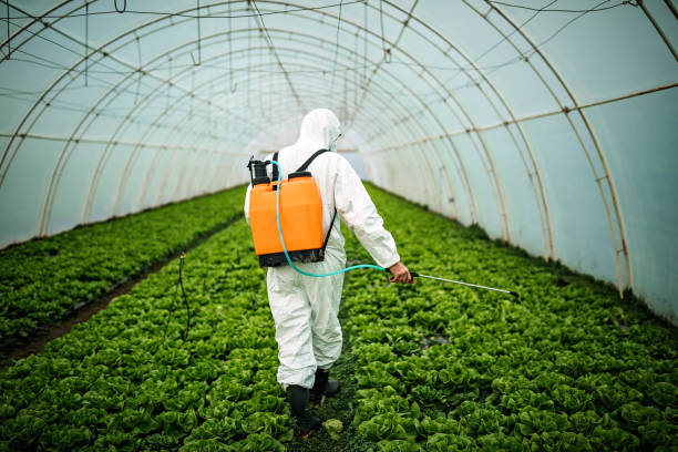 Best Emergency Pest Control  in Forrest City, AR