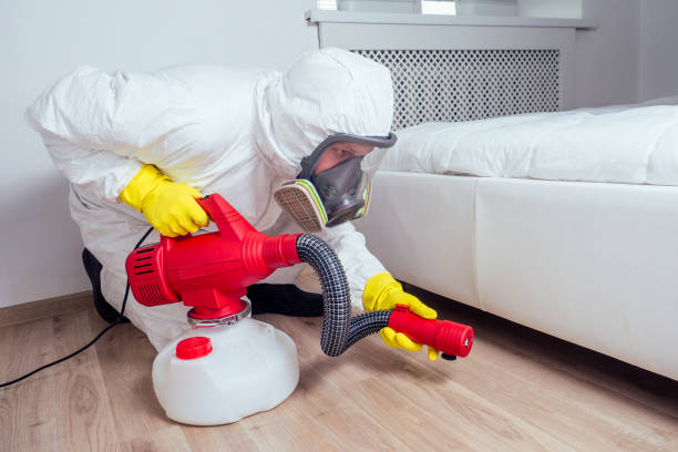 Best Termite Control Services  in Forrest City, AR