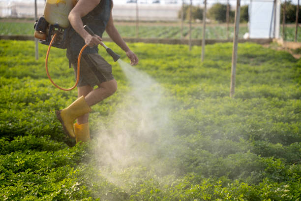 Best Pest Control Near Me  in Forrest City, AR