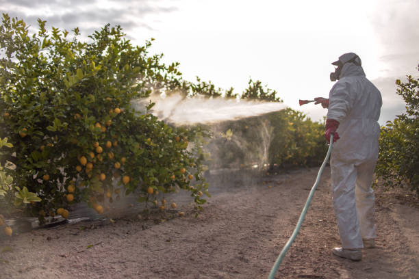 Best Mosquito Control Services  in Forrest City, AR