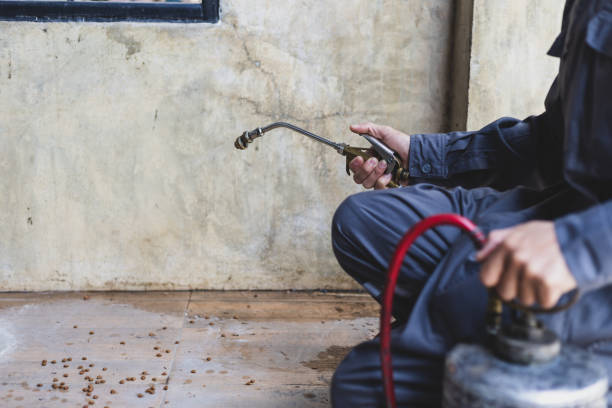 Best Flea Control Services  in Forrest City, AR